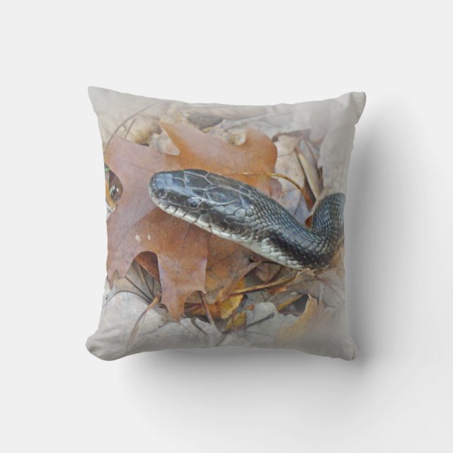 Black Rat Snake - Elaphe obsoleta obsoleta Throw Pillow (Front)