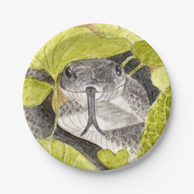 Black Rat Snake Paper Plate (Front)