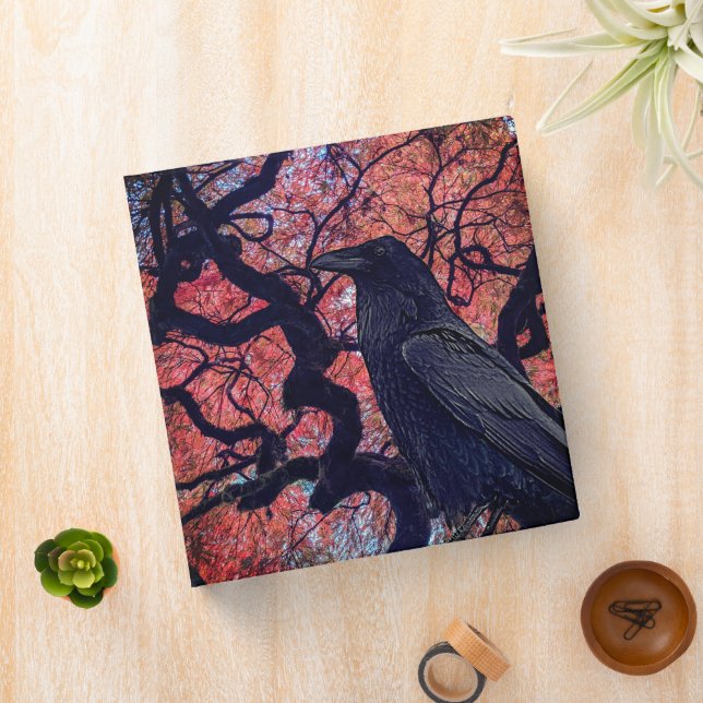 Black Raven and Gnarly Japanese Maple Tree Binder (In Situ)