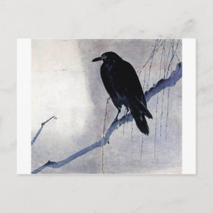 Black Raven Bird Postcard