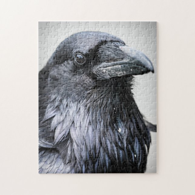 Black Raven Crow Bird Jigsaw Puzzle (Vertical)