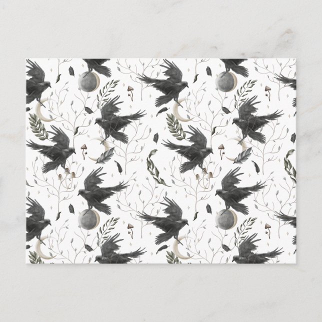 Black Raven, Moon and Wild Plants Witchcraft   Postcard (Front)