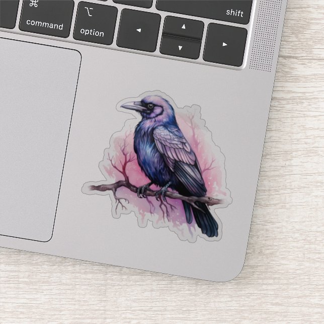 Black Raven on a Branch Illustration (Detail)