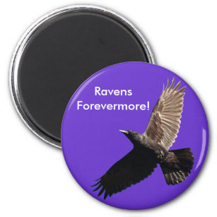 Black Raven Series Magnet