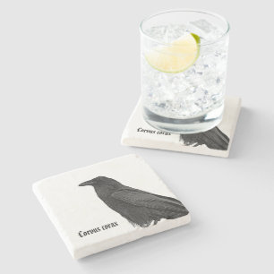 Black Raven With Scientific Name Stone Coaster