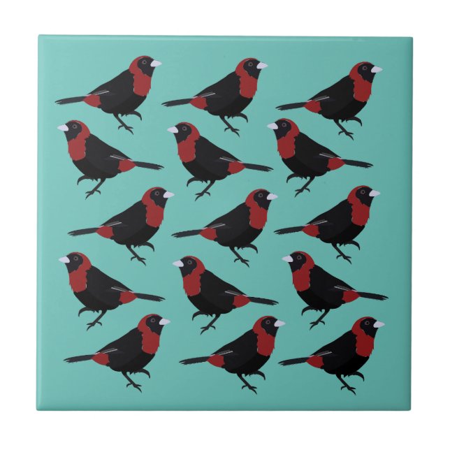 Black Red Crimson-Collared Tanager Songbird  Tile (Front)