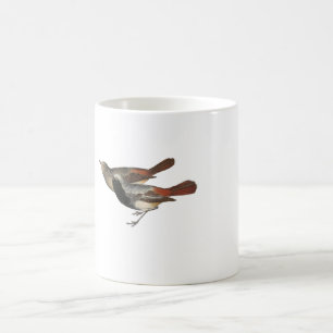 Black Redstart Coffee Mug