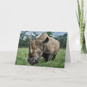 Black Rhinoceros   Kenya Card