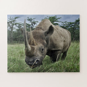 Black Rhinoceros Kenya Jigsaw Puzzle