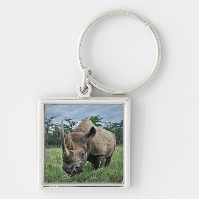 Black Rhinoceros | Kenya Keychain (Front)