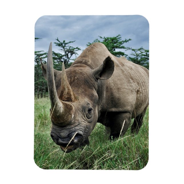Black Rhinoceros | Kenya Magnet (Vertical)