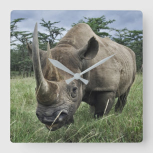 Black Rhinoceros   Kenya Square Wall Clock
