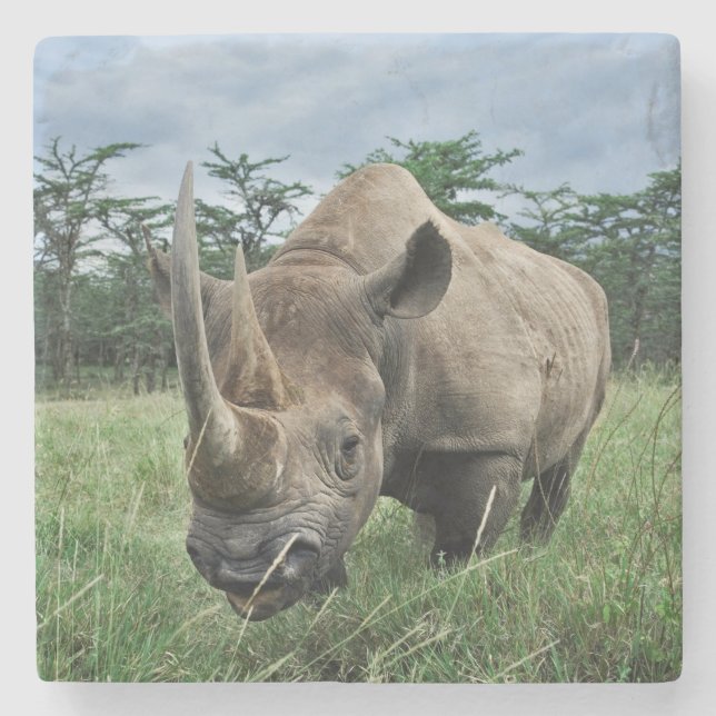 Black Rhinoceros | Kenya Stone Coaster (Front)