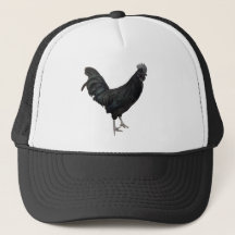 black rooster hat