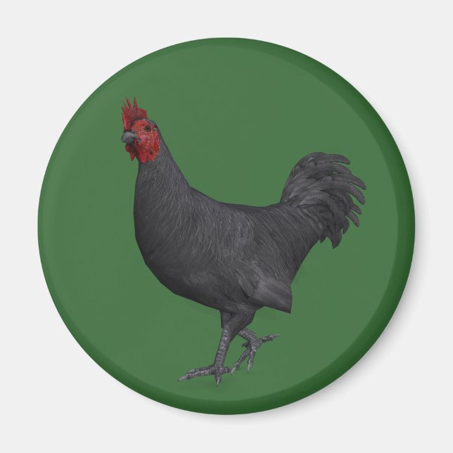 Black Rooster Magnet (Front)