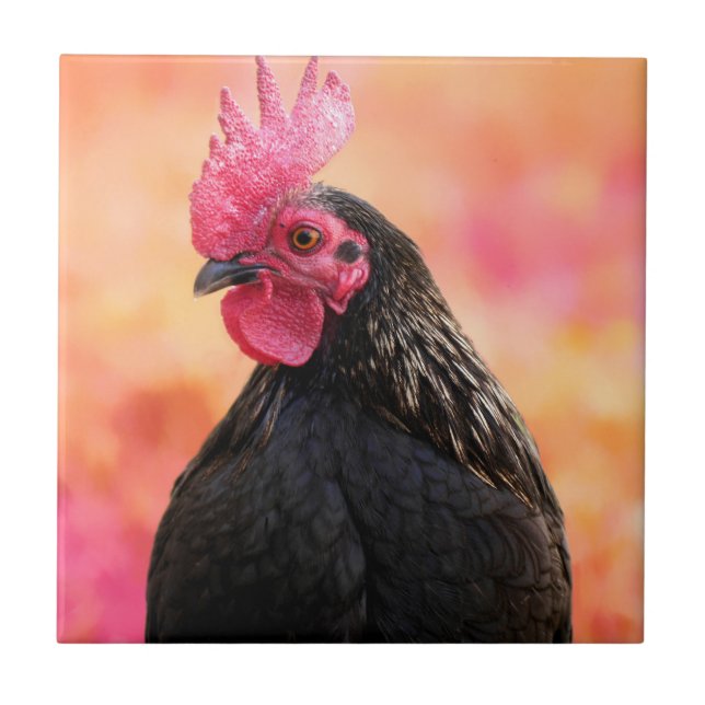 Black Rooster Tile (Front)