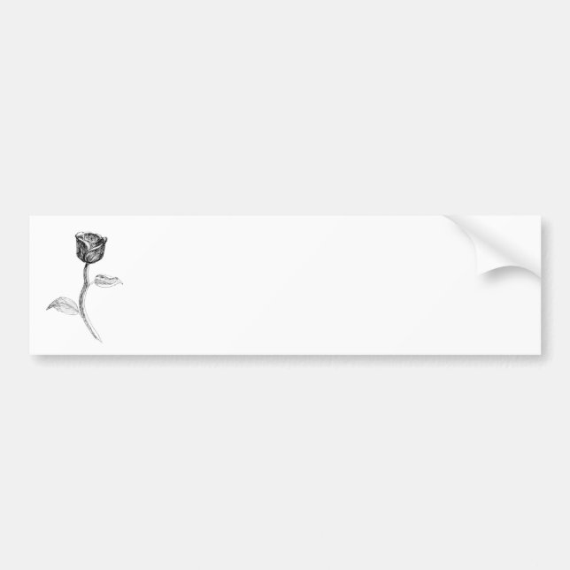 Black Rose. Bumper Sticker (Front)