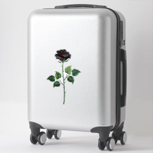 Black rose flower