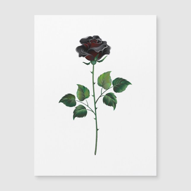 Black rose flower (Front)