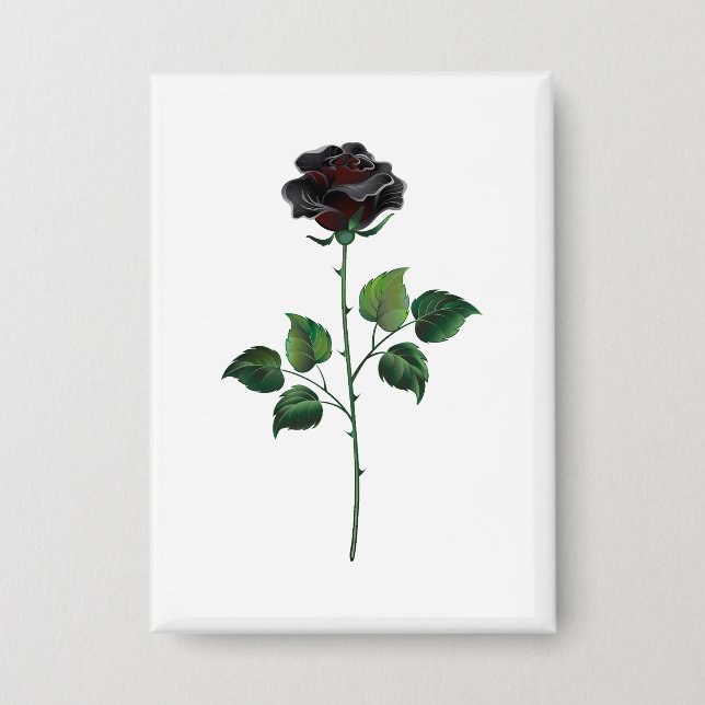 Black rose flower (Front)