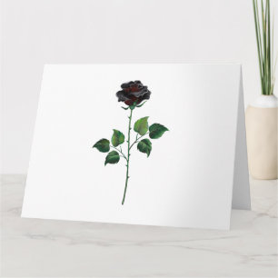 Black rose flower card