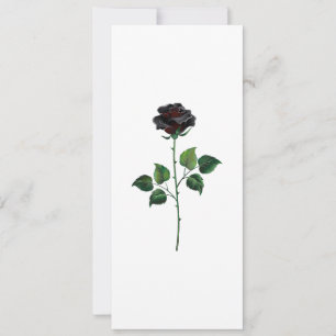 Black rose flower card
