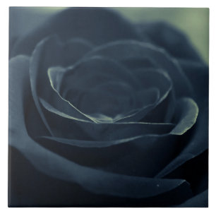 Black Rose Flower Dark Gothic Vibe Tile