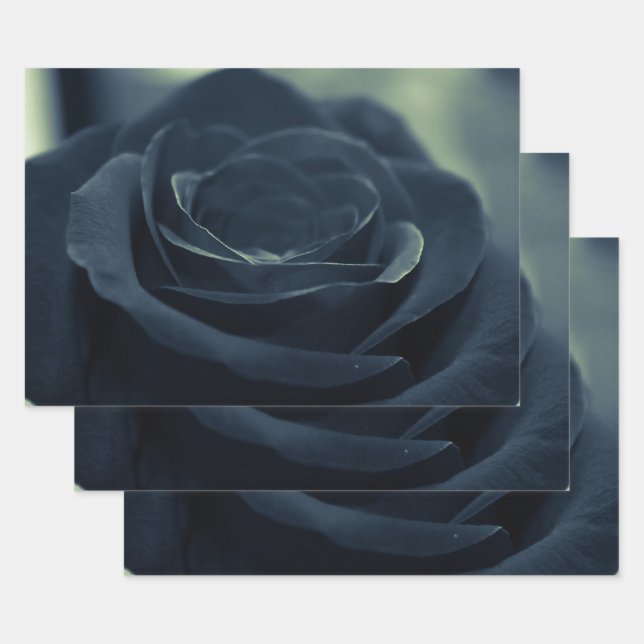 Black Rose Flower Dark Gothic Vibe Wrapping Paper Sheet (Set)