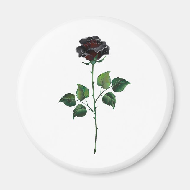 Black rose flower magnet (Front)