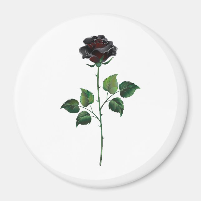 Black rose flower magnet (Front)