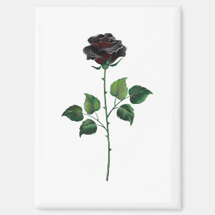 Black rose flower magnet