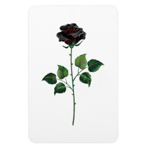Black rose flower magnet