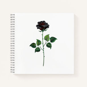 Black rose flower notebook