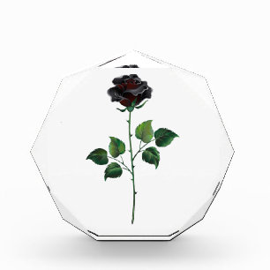 Black rose flower photo block