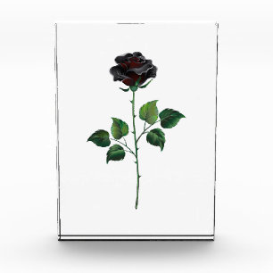 Black rose flower photo block