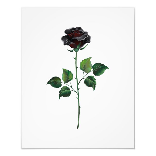 Black rose flower photo print (Front)