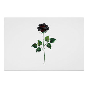 Black rose flower poster