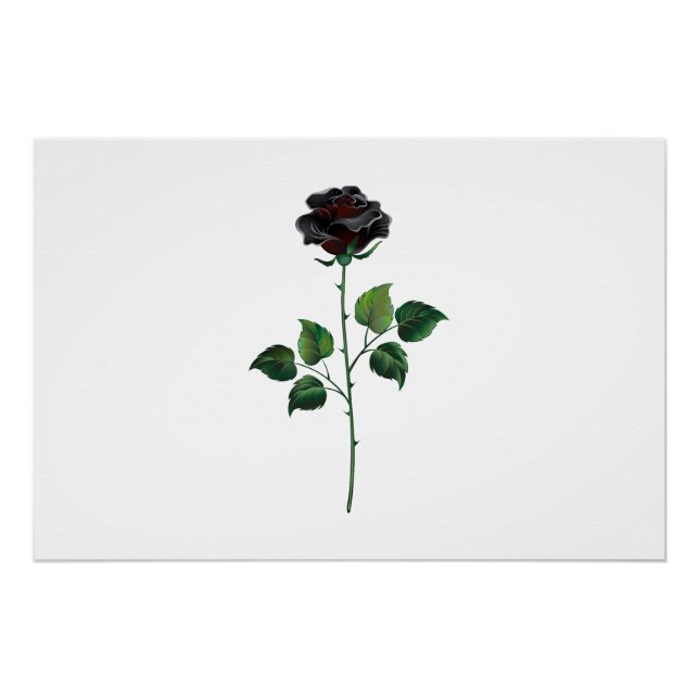 Black rose flower poster (Front)