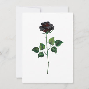 Black rose flower thank you card