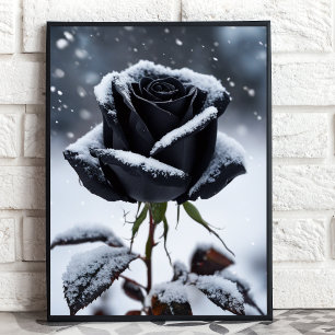 Black Rose in Snow – Moody Winter Floral Art Print