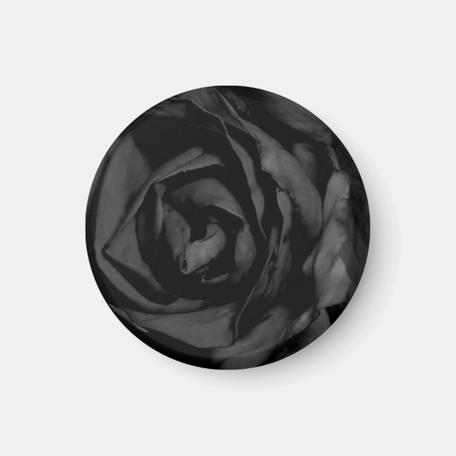 Black Rose Magnet (Front)