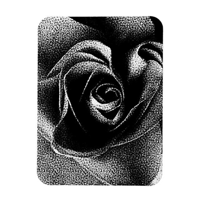 BLACK ROSE MAGNET (Vertical)