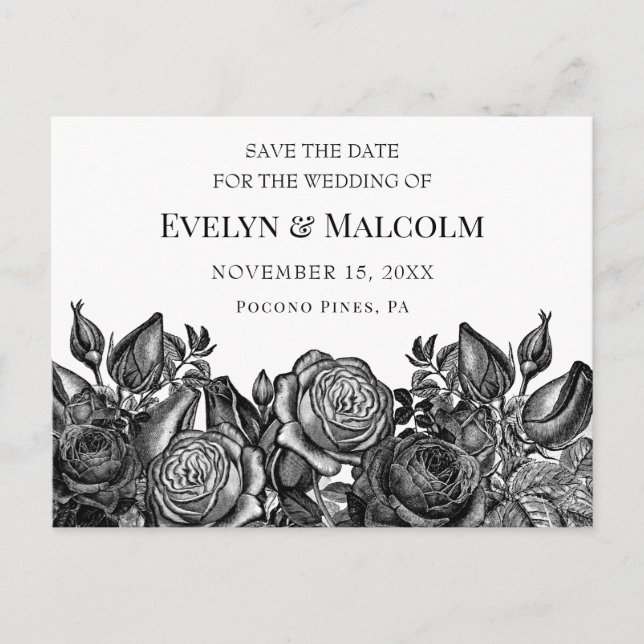 Black Roses on White Save the Date STD Announcement Postcard (Front)