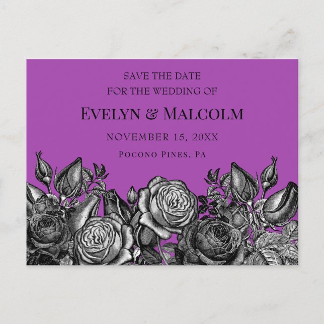 Black Roses Purple Save the Date STD Announcement Postcard (Front)