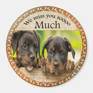 Black Rottweiler cute puppy dogs with sad faces Magnet