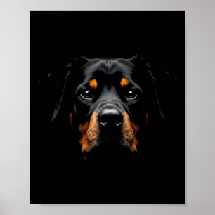Black Rottweiler Dog Rottie Face Poster