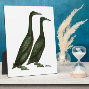 Black Runner Ducks Plaque