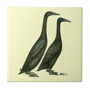 Black Runner Ducks Tile