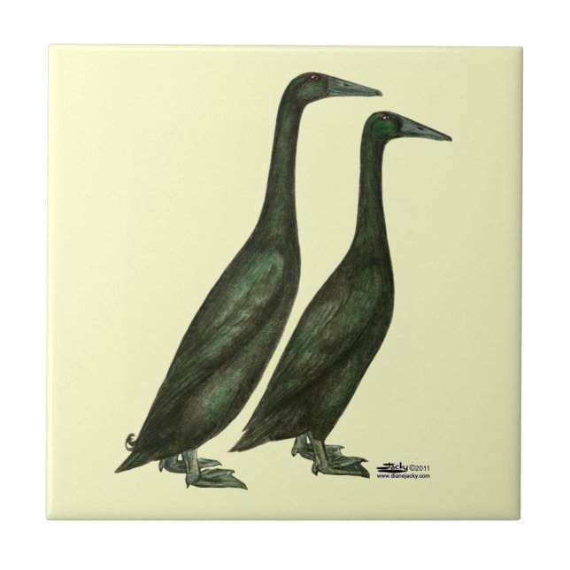 Black Runner Ducks Tile (Front)