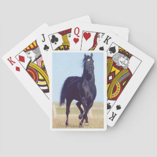 Black Running Horse Playing Cards